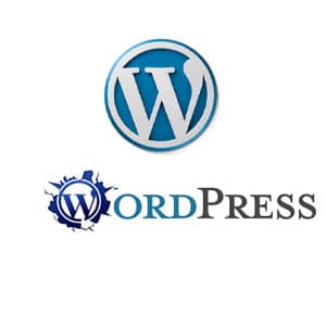 wordpress websites